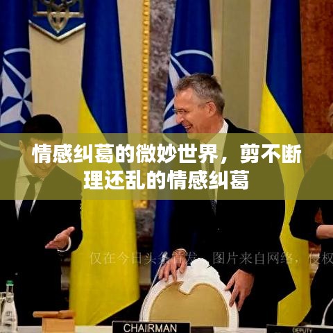 情感糾葛的微妙世界，剪不斷理還亂的情感糾葛