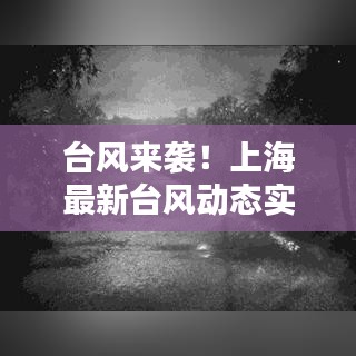 臺風(fēng)來襲！上海最新臺風(fēng)動態(tài)實時更新