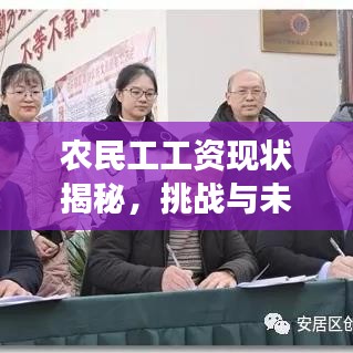 農(nóng)民工工資現(xiàn)狀揭秘，挑戰(zhàn)與未來展望，百度權(quán)威解讀！