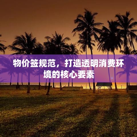 物價(jià)簽規(guī)范，打造透明消費(fèi)環(huán)境的核心要素