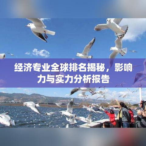 經(jīng)濟(jì)專業(yè)全球排名揭秘，影響力與實(shí)力分析報(bào)告