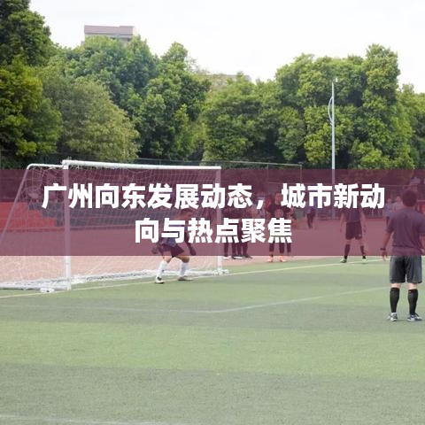 廣州向東發(fā)展動態(tài)，城市新動向與熱點聚焦