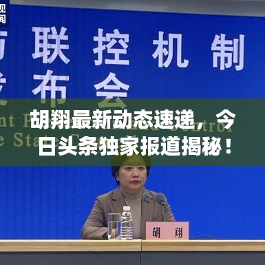 胡翔最新動態(tài)速遞，今日頭條獨家報道揭秘！