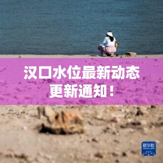 漢口水位最新動態(tài)更新通知！