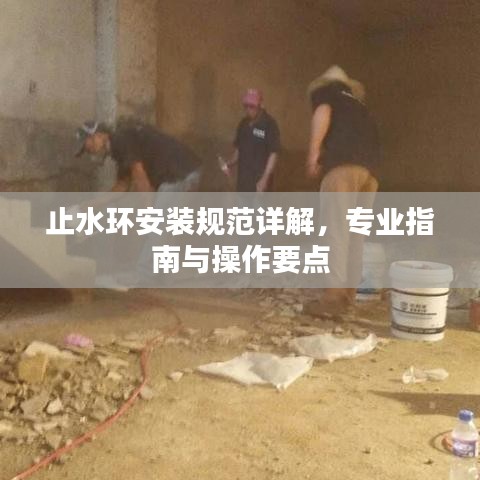 止水環(huán)安裝規(guī)范詳解，專(zhuān)業(yè)指南與操作要點(diǎn)
