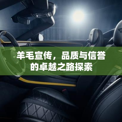 羊毛宣傳，品質(zhì)與信譽(yù)的卓越之路探索