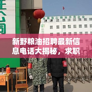 新野糧油招聘最新信息電話大揭秘，求職者福音，優(yōu)質職位等你來挑！