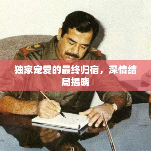 獨家寵愛的最終歸宿，深情結(jié)局揭曉