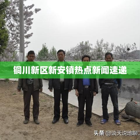 銅川新區(qū)新安鎮(zhèn)熱點新聞速遞