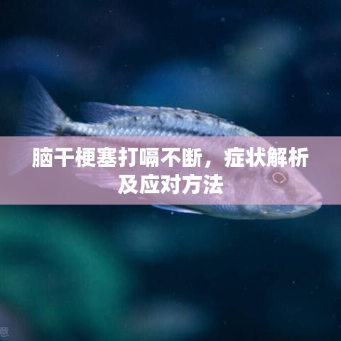 腦干梗塞打嗝不斷，癥狀解析及應(yīng)對(duì)方法