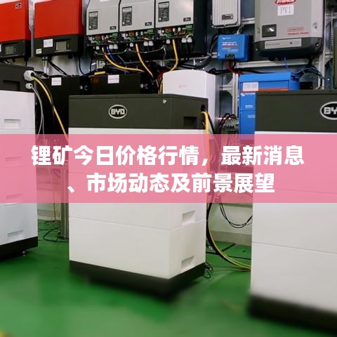 鋰礦今日價格行情，最新消息、市場動態(tài)及前景展望