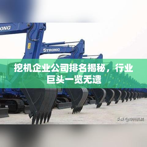 挖機企業(yè)公司排名揭秘，行業(yè)巨頭一覽無遺