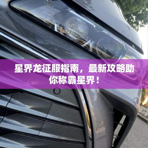 星界龍征服指南，最新攻略助你稱霸星界！