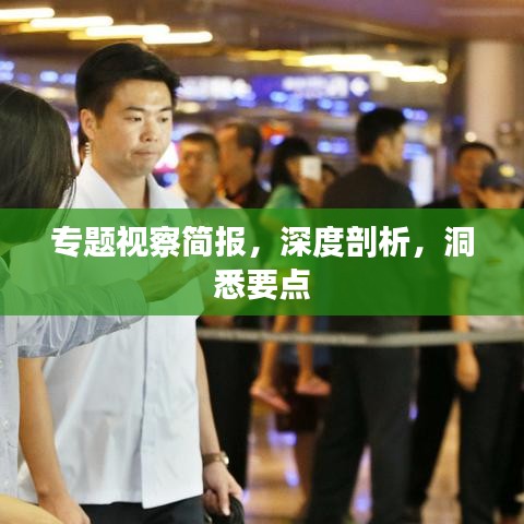 專題視察簡報，深度剖析，洞悉要點