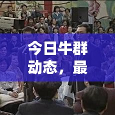 今日牛群動態(tài)，最新消息視頻匯總