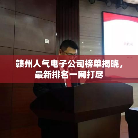 贛州人氣電子公司榜單揭曉，最新排名一網(wǎng)打盡
