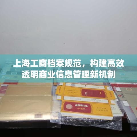 上海工商檔案規(guī)范，構建高效透明商業(yè)信息管理新機制
