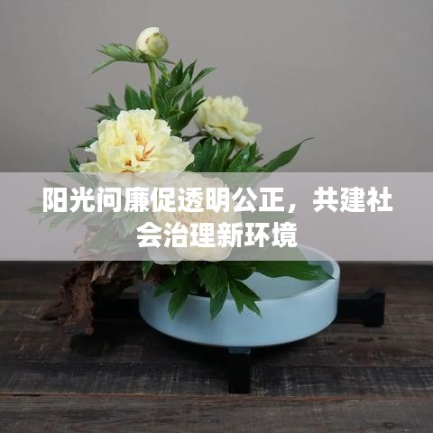 陽(yáng)光問(wèn)廉促透明公正，共建社會(huì)治理新環(huán)境