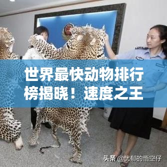 世界最快動(dòng)物排行榜揭曉！速度之王究竟是誰(shuí)？