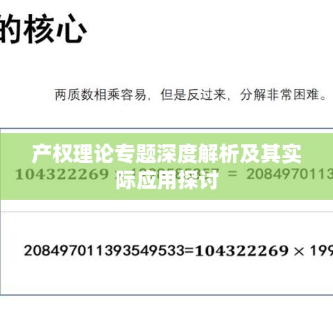產(chǎn)權(quán)理論專題深度解析及其實(shí)際應(yīng)用探討