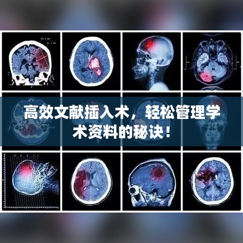 高效文獻(xiàn)插入術(shù)，輕松管理學(xué)術(shù)資料的秘訣！