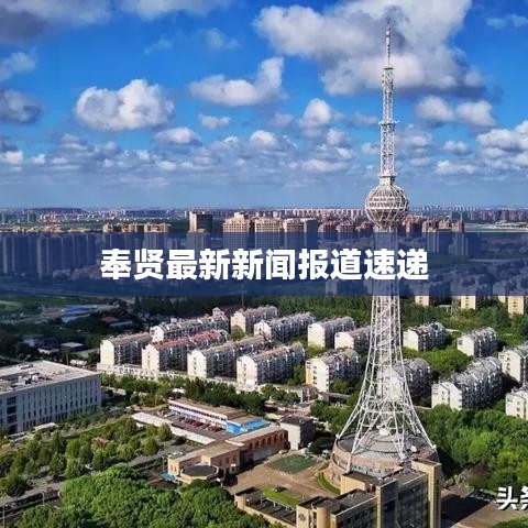 奉賢最新新聞報道速遞