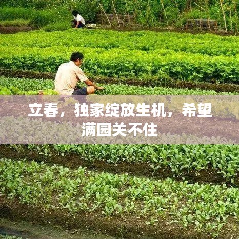 立春，獨家綻放生機，希望滿園關不住