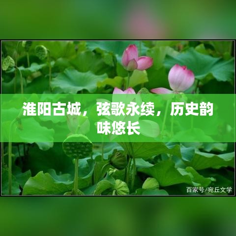 淮陽古城，弦歌永續(xù)，歷史韻味悠長