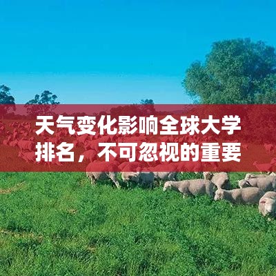 天氣變化影響全球大學(xué)排名，不可忽視的重要因素！