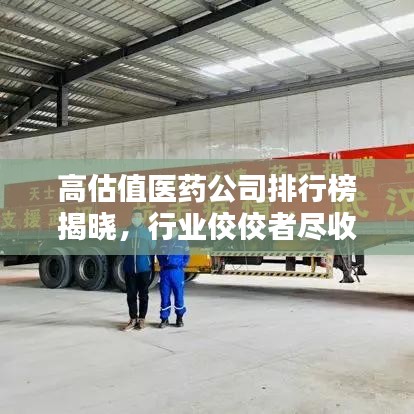 高估值醫(yī)藥公司排行榜揭曉，行業(yè)佼佼者盡收眼底！
