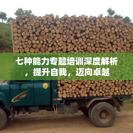 七種能力專題培訓深度解析，提升自我，邁向卓越