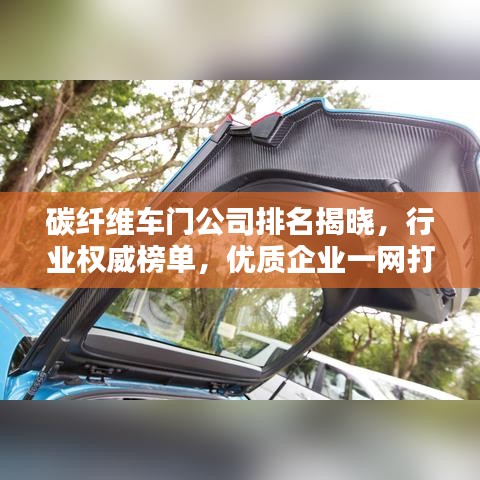 碳纖維車門公司排名揭曉，行業(yè)權(quán)威榜單，優(yōu)質(zhì)企業(yè)一網(wǎng)打盡！