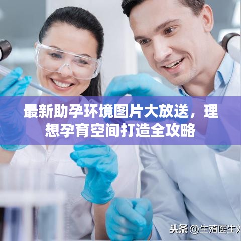 最新助孕環(huán)境圖片大放送，理想孕育空間打造全攻略