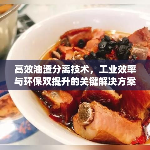 高效油渣分離技術(shù)，工業(yè)效率與環(huán)保雙提升的關(guān)鍵解決方案