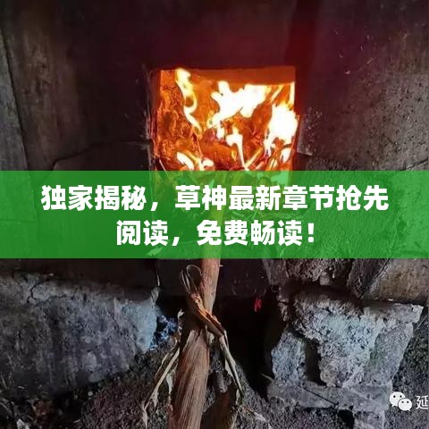 獨(dú)家揭秘，草神最新章節(jié)搶先閱讀，免費(fèi)暢讀！