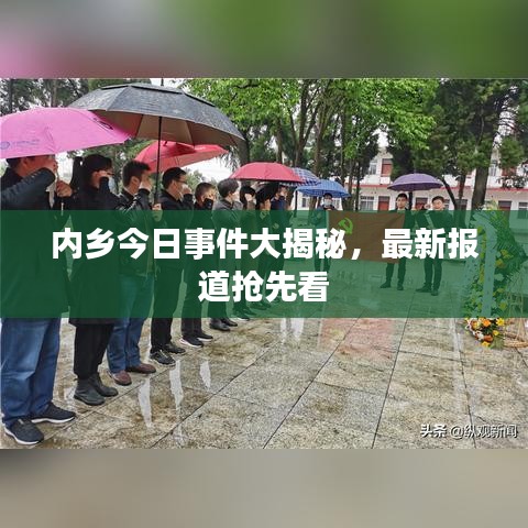 內(nèi)鄉(xiāng)今日事件大揭秘，最新報(bào)道搶先看