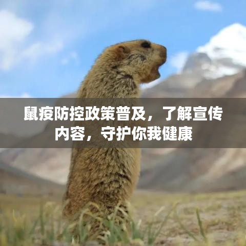 鼠疫防控政策普及，了解宣傳內(nèi)容，守護你我健康