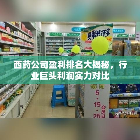 西藥公司盈利排名大揭秘，行業(yè)巨頭利潤(rùn)實(shí)力對(duì)比