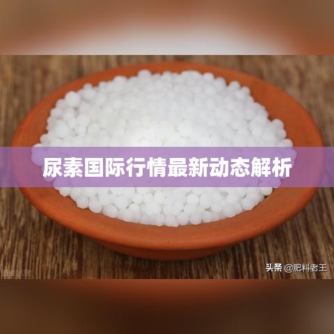 尿素國際行情最新動態(tài)解析