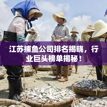 江蘇捕魚(yú)公司排名揭曉，行業(yè)巨頭榜單揭秘！
