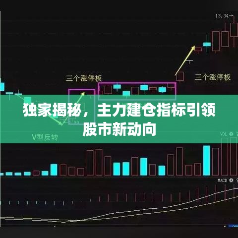 獨家揭秘，主力建倉指標引領股市新動向