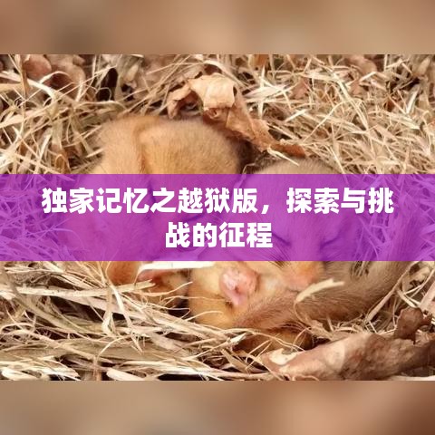獨(dú)家記憶之越獄版，探索與挑戰(zhàn)的征程