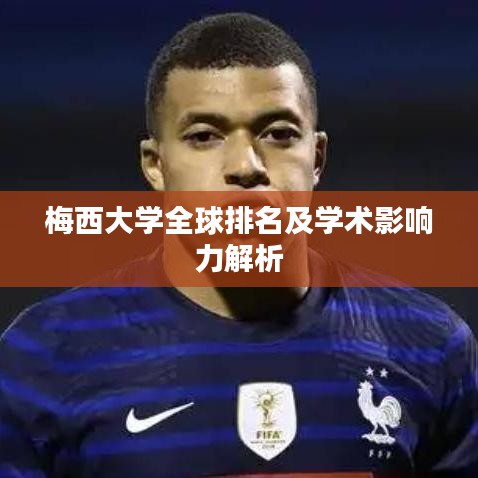 梅西大學全球排名及學術影響力解析