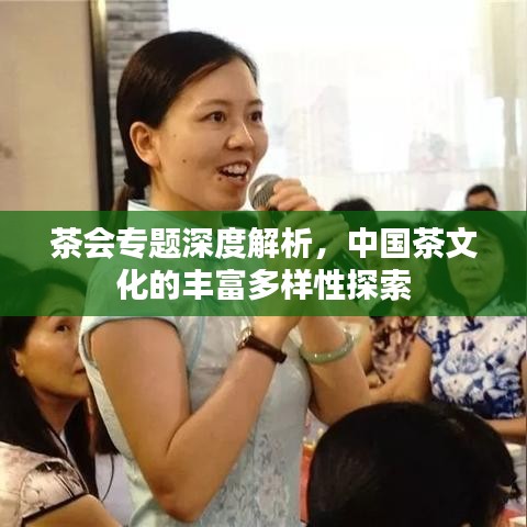 茶會(huì)專題深度解析，中國茶文化的豐富多樣性探索