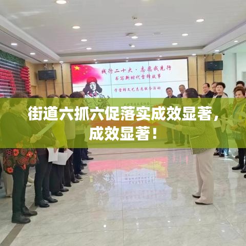 街道六抓六促落實(shí)成效顯著，成效顯著！