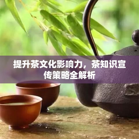 提升茶文化影響力，茶知識宣傳策略全解析