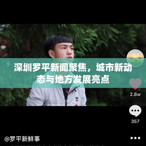 深圳羅平新聞聚焦，城市新動態(tài)與地方發(fā)展亮點