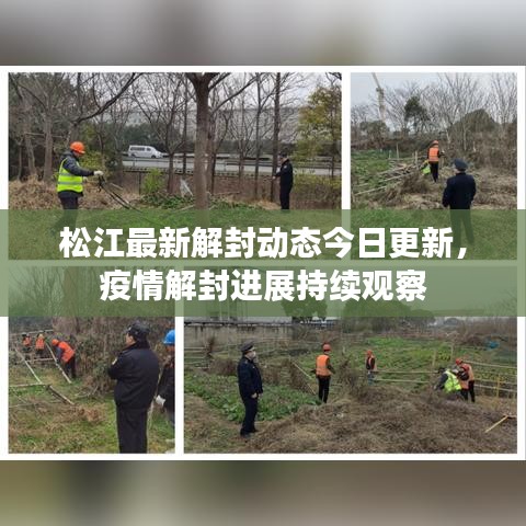 松江最新解封動態(tài)今日更新，疫情解封進展持續(xù)觀察