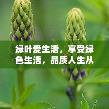 綠葉愛生活，享受綠色生活，品質(zhì)人生從這里開始！