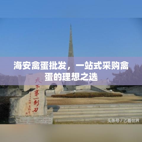 海安禽蛋批發(fā)，一站式采購禽蛋的理想之選